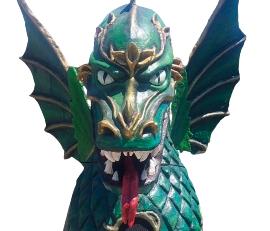 Cara del drac NERVÓN